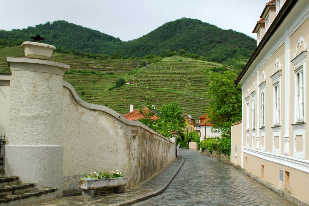 Voyage à vélo Passau-Vienne - Le vin et la viticulture entre Passau et Vienne - Spitz