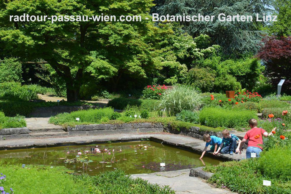 Le jardin botanique de Linz